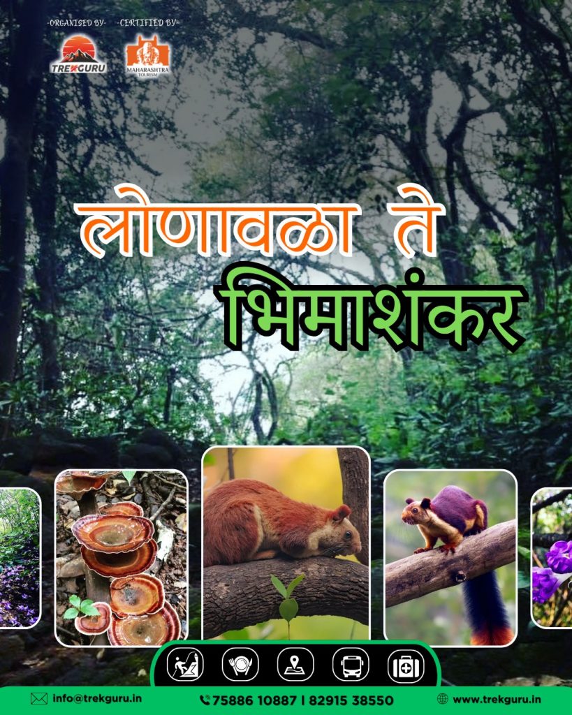 WhatsApp Image 2025-08-11 at 9.12.41 PM (1)
